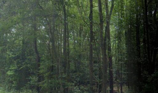 woodberry side pic