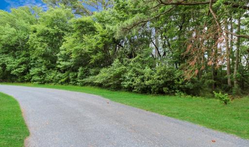 Photo #3 of LOT 43 NEPTUNE DR, GREENBACKVILLE, VA 11,917.0 acres