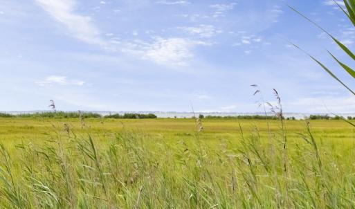 Photo #4 of LOT 43 NEPTUNE DR, GREENBACKVILLE, VA 11,917.0 acres