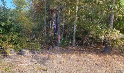 Photo #14 of Claibornetown Rd., Emporia, VA 1.0 acres