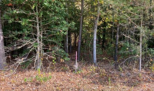 Photo #5 of Claibornetown Rd., Emporia, VA 1.0 acres