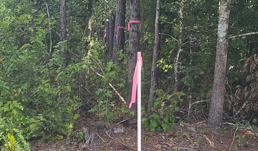 Photo #6 of Claibornetown Rd., Emporia, VA 1.0 acres