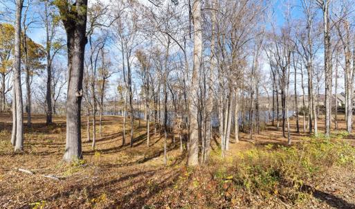 Photo #10 of Boxwood Shores Drive, Boydton, VA 3.4 acres