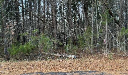 Photo #3 of Creekwood Trail, Farmville, VA 1.9 acres