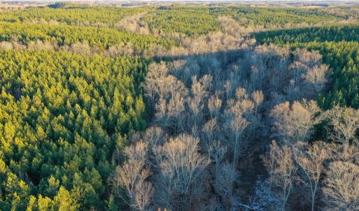Photo #10 of Mason Trail, Nathalie, VA 117.0 acres