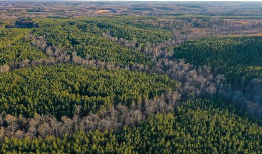Photo #11 of Mason Trail, Nathalie, VA 117.0 acres