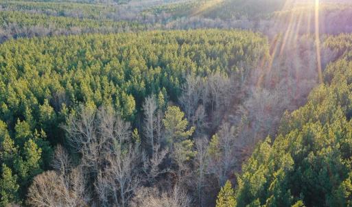Photo #12 of Mason Trail, Nathalie, VA 117.0 acres