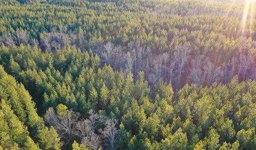 Photo #14 of Mason Trail, Nathalie, VA 117.0 acres