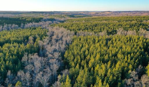 Photo #15 of Mason Trail, Nathalie, VA 117.0 acres