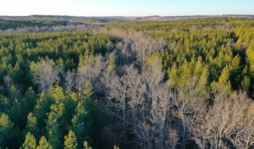 Photo #16 of Mason Trail, Nathalie, VA 117.0 acres