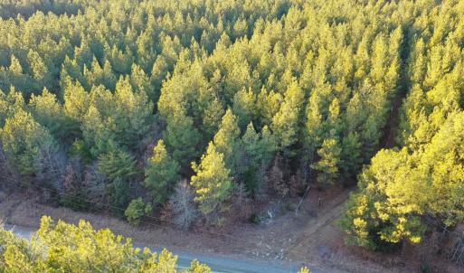 Photo #18 of Mason Trail, Nathalie, VA 117.0 acres
