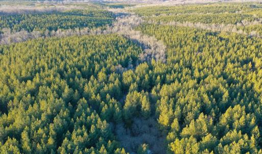 Photo #19 of Mason Trail, Nathalie, VA 117.0 acres