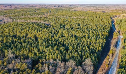 Photo #2 of Mason Trail, Nathalie, VA 117.0 acres