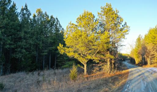 Photo #20 of Mason Trail, Nathalie, VA 117.0 acres