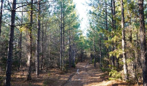Photo #24 of Mason Trail, Nathalie, VA 117.0 acres