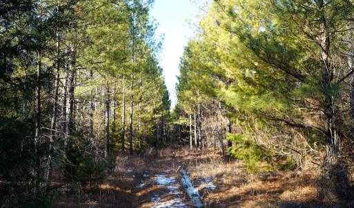 Photo #27 of Mason Trail, Nathalie, VA 117.0 acres