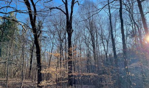 Photo #28 of Mason Trail, Nathalie, VA 117.0 acres