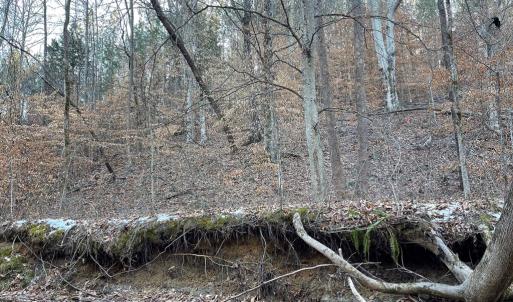 Photo #29 of Mason Trail, Nathalie, VA 117.0 acres