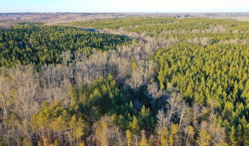 Photo #3 of Mason Trail, Nathalie, VA 117.0 acres