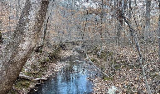 Photo #30 of Mason Trail, Nathalie, VA 117.0 acres