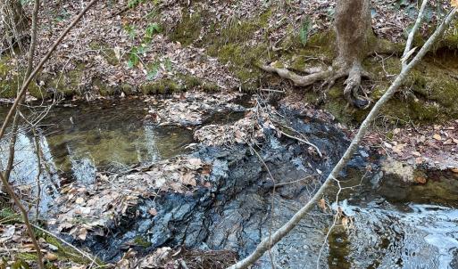 Photo #31 of Mason Trail, Nathalie, VA 117.0 acres