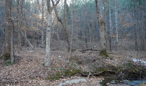 Photo #32 of Mason Trail, Nathalie, VA 117.0 acres
