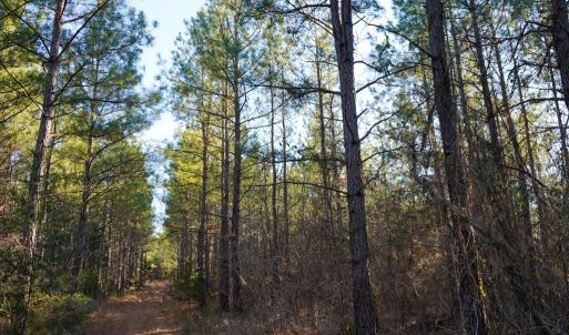Photo #33 of Mason Trail, Nathalie, VA 117.0 acres