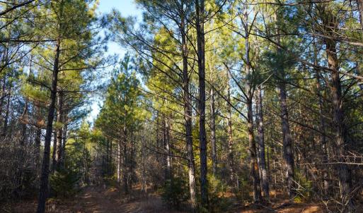 Photo #34 of Mason Trail, Nathalie, VA 117.0 acres