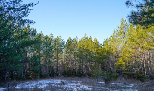 Photo #36 of Mason Trail, Nathalie, VA 117.0 acres
