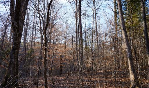 Photo #37 of Mason Trail, Nathalie, VA 117.0 acres