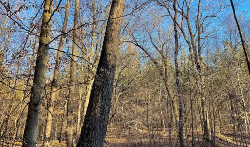 Photo #38 of Mason Trail, Nathalie, VA 117.0 acres