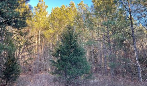 Photo #39 of Mason Trail, Nathalie, VA 117.0 acres