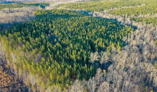 Photo #4 of Mason Trail, Nathalie, VA 117.0 acres