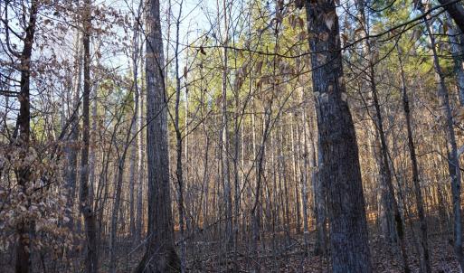 Photo #40 of Mason Trail, Nathalie, VA 117.0 acres