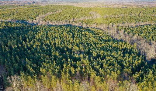 Photo #5 of Mason Trail, Nathalie, VA 117.0 acres