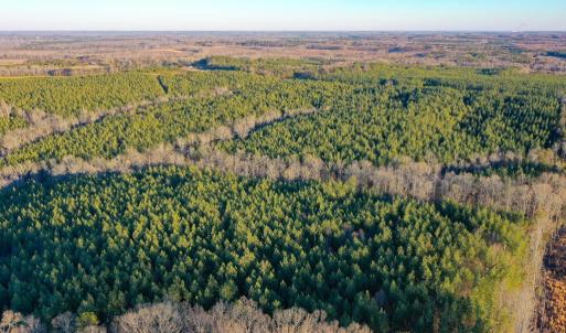 Photo #6 of Mason Trail, Nathalie, VA 117.0 acres