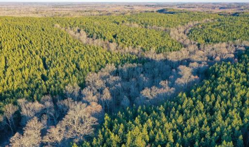 Photo #8 of Mason Trail, Nathalie, VA 117.0 acres