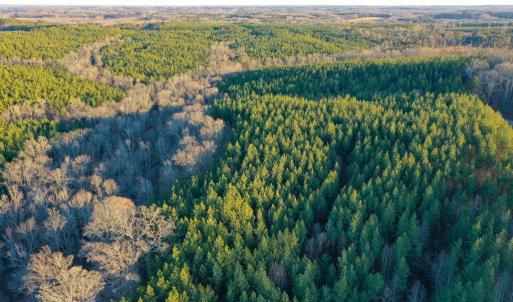 Photo #9 of Mason Trail, Nathalie, VA 117.0 acres