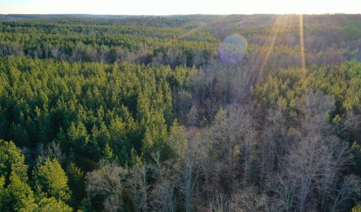 Photo #13 of Mason Trail, Nathalie, VA 117.0 acres