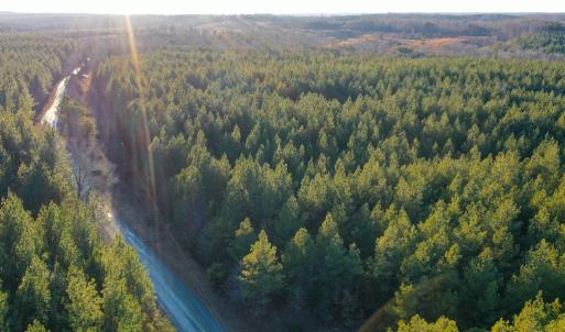 Photo #17 of Mason Trail, Nathalie, VA 117.0 acres