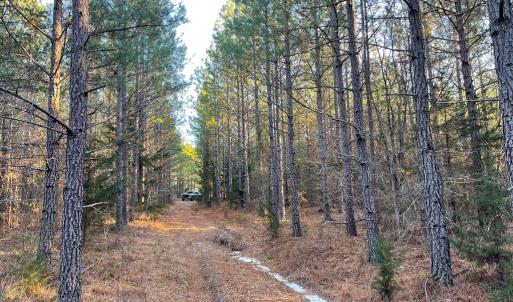Photo #23 of Mason Trail, Nathalie, VA 117.0 acres