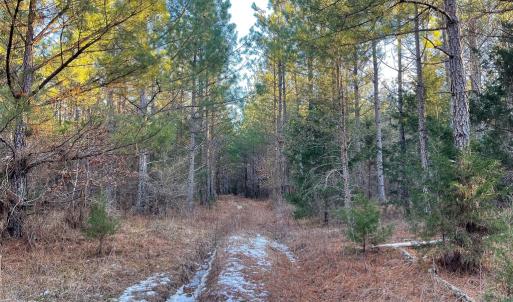 Photo #26 of Mason Trail, Nathalie, VA 117.0 acres