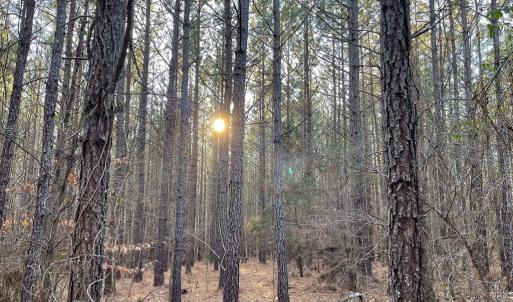 Photo #41 of Mason Trail, Nathalie, VA 117.0 acres