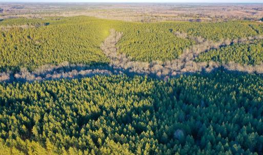 Photo #7 of Mason Trail, Nathalie, VA 117.0 acres