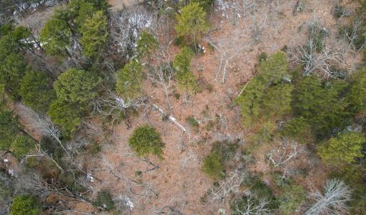 Photo #14 of Round Mountain Rd, Stuart, VA 5.7 acres