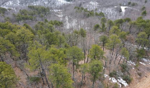 Photo #20 of Round Mountain Rd, Stuart, VA 5.7 acres