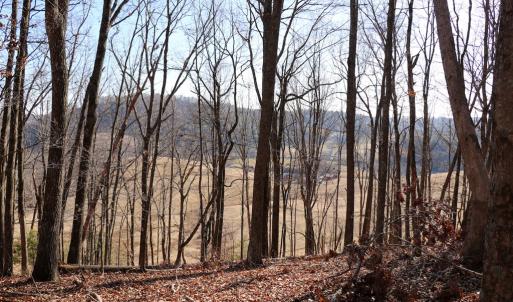 Photo #10 of Starmount Lane, Galax, VA 9.0 acres