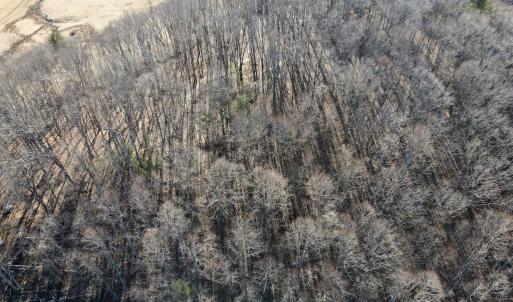 Photo #15 of Starmount Lane, Galax, VA 9.0 acres