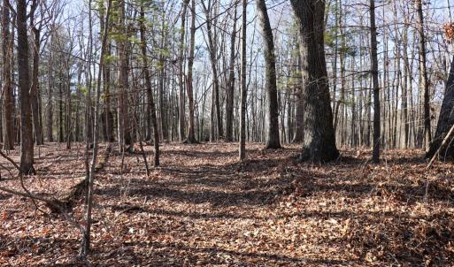 Photo #17 of Starmount Lane, Galax, VA 9.0 acres