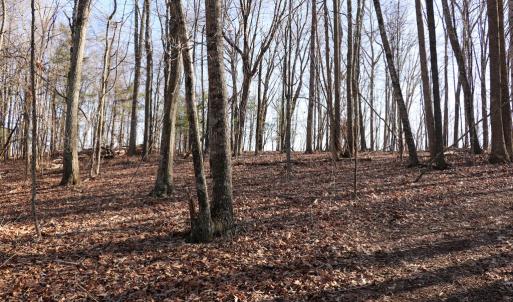 Photo #21 of Starmount Lane, Galax, VA 9.0 acres